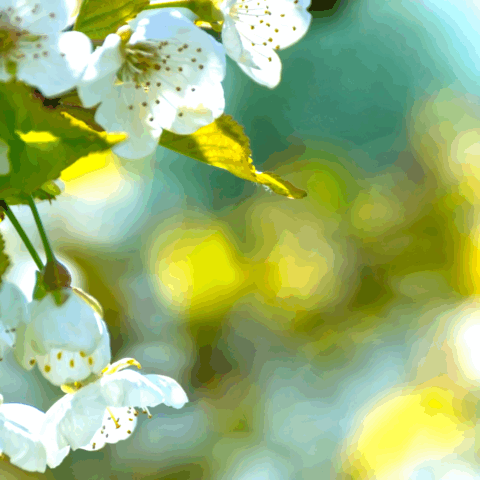 マッチングアプリ疲れ　　　　　　　　　　　　　　　　　　　　　　 ― マッチングアプリはなぜ結婚に結びつきにくいのか―