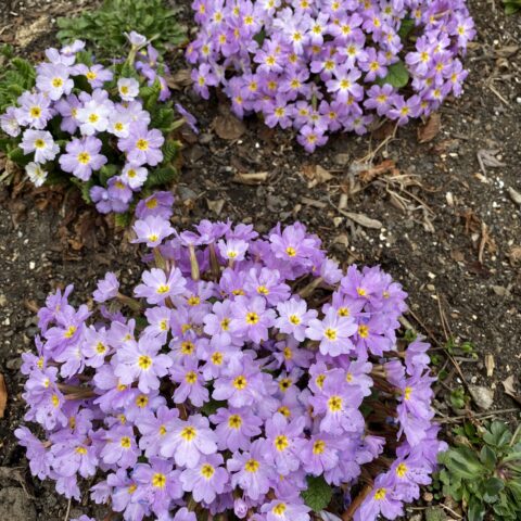 「婚活が苦しい」その正体を知っていますか？――人は条件ではなく、一つの「物語」です