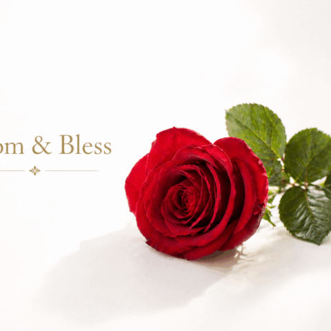 Bloom & Blessの名前に込めた想い――自分を咲かせ、祝福しあう関係へ